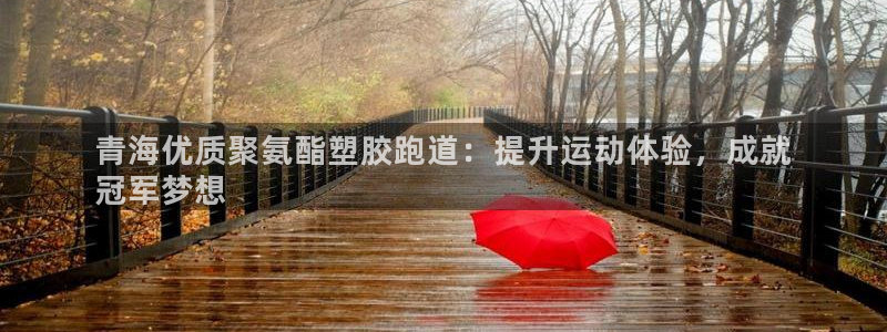 红足一1世：青海优质聚氨酯塑胶跑道：提升运动体验，成就
冠军梦想