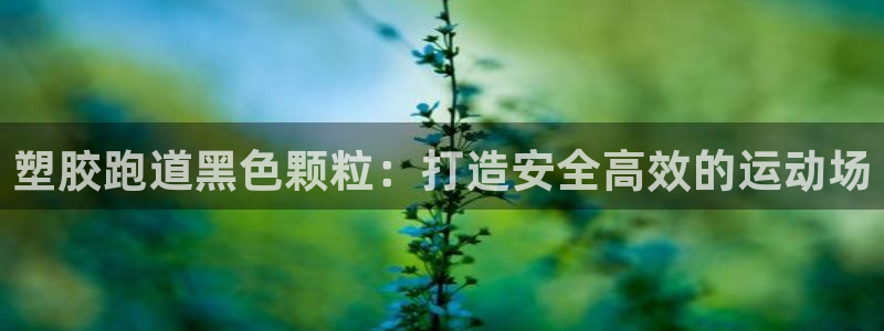百度红足一1视频在线观看：塑胶跑道黑色颗粒：打造安全高效的运动场