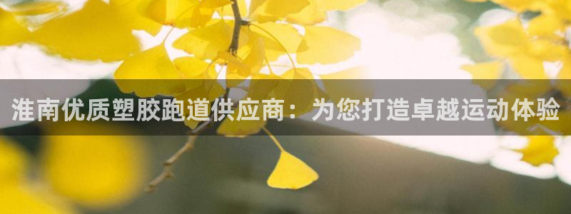 红足一1世手机皇冠：淮南优质塑胶跑道供应商：为您打造卓越运动体验