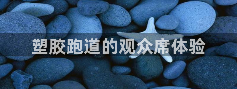 红足一1世即时比分：塑胶跑道的观众席体验
