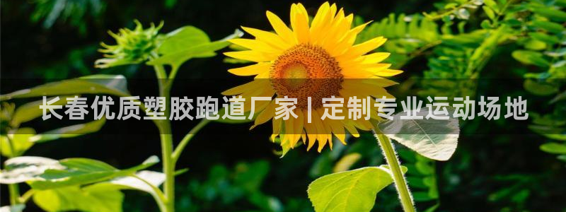 红足一1世官网：长春优质塑胶跑道厂家 | 定制专业运动场地