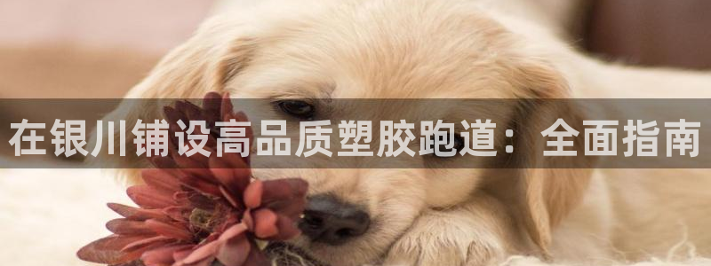 红足1世足球：在银川铺设高品质塑胶跑道：全面指南