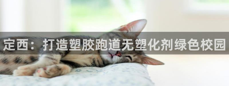红足1世足球比分 localhost：定西：打造塑胶跑道无塑化剂绿色校园