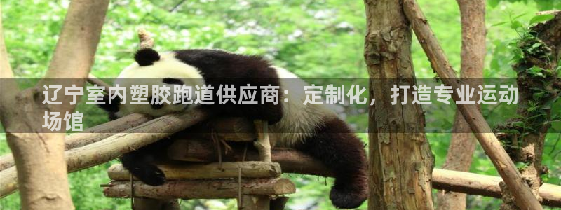 红足一1世平台：辽宁室内塑胶跑道供应商：定制化，打造专业运动
场馆