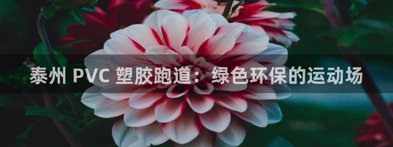 333814红足1世：泰州 PVC 塑胶跑道：绿色环保的运动场