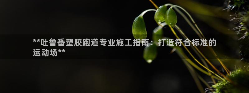 红足一丰：**吐鲁番塑胶跑道专业施工指南：打造符合标准的
运动场**