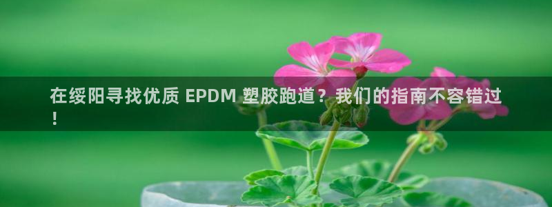 红足一1世66814新宝