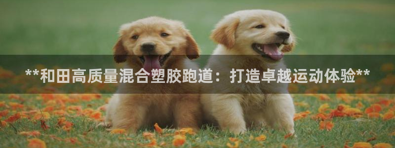 红足 世足球手机网：**和田高质量混合塑胶跑道：打造卓越运动体验**