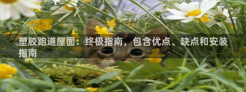 红足1世手足球比分：塑胶跑道屋面：终极指南，包含优点、缺点和安装
指南