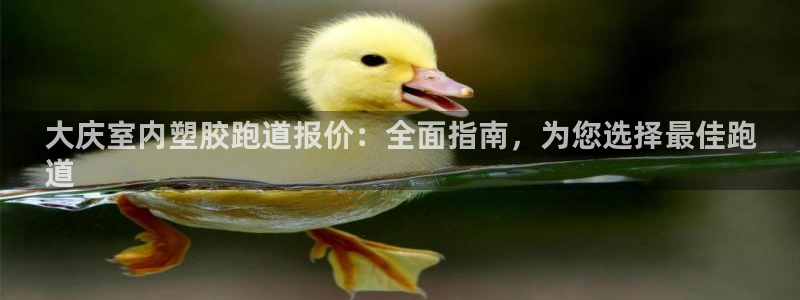 百度红足一1世：大庆室内塑胶跑道报价：全面指南，为您选择最佳跑
道