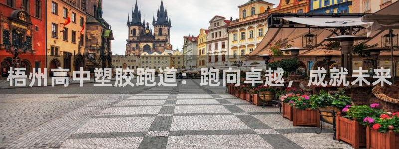 红足一1世皇冠登录：梧州高中塑胶跑道：跑向卓越，成就未来