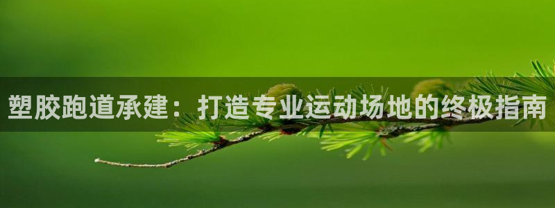 百度红足一1使用说明：塑胶跑道承建：打造专业运动场地的终极指南