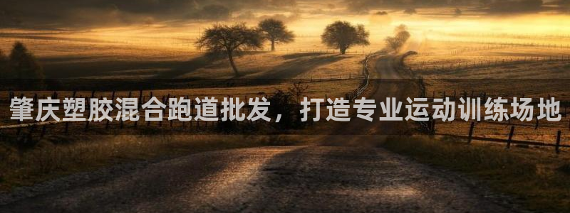 666814红·足一世比分：肇庆塑胶混合跑道批发，打造专业运动训练场地