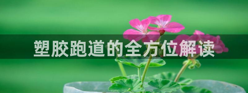 777814红·足一世比分：塑胶跑道的全方位解读