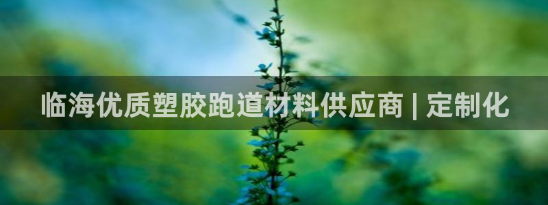 百度红足一1是干什么的：临海优质塑胶跑道材料供应商 | 定制化
