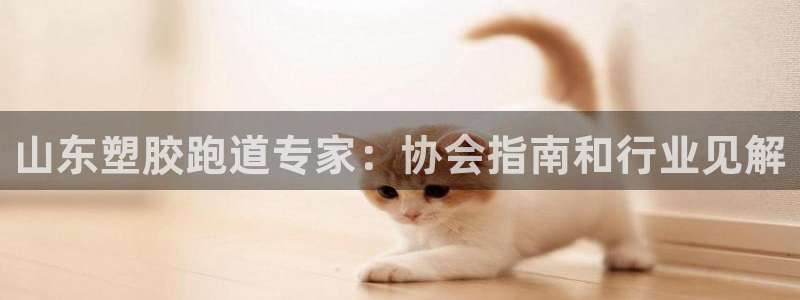 红足一1世手机版赛果：山东塑胶跑道专家：协会指南和行业见解