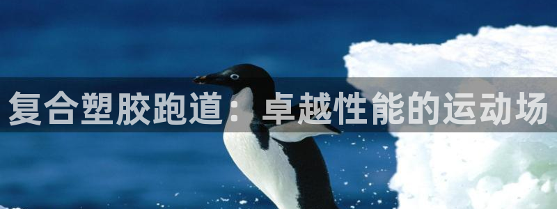 红足一一世：复合塑胶跑道：卓越性能的运动场