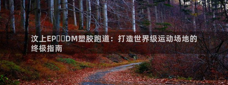红足 世足球手机网：汶上EP​​DM塑胶跑道：打造世界级运动场地的
终极指南