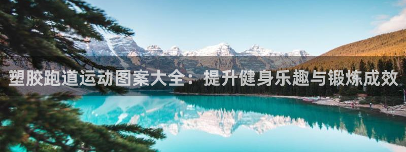 红足i世足球手机网：塑胶跑道运动图案大全：提升健身乐趣与锻炼成效