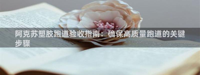 百度红足一1是什么样子的：阿克苏塑胶跑道验收指南：确保高质量跑道的关键
步骤