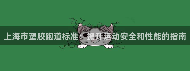 百度红足一1视频在线观看：上海市塑胶跑道标准：提升运动安全和性能的指南