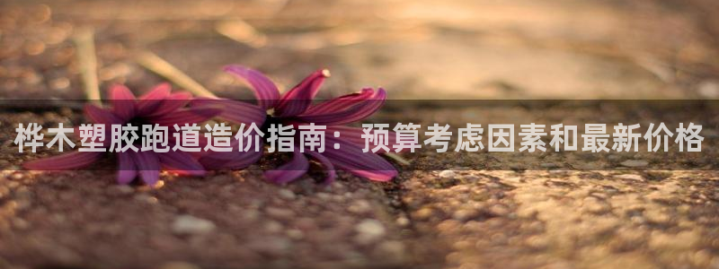 红足一球：桦木塑胶跑道造价指南：预算考虑因素和最新价格