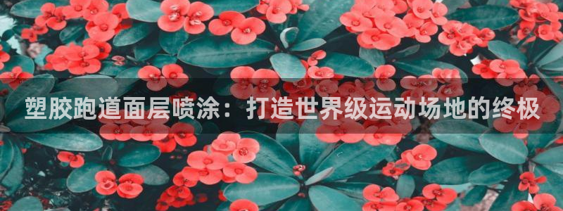 百度红足一1视频在线观看：塑胶跑道面层喷涂：打造世界级运动场地的终极
