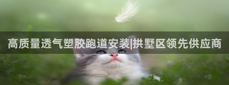 红足一1世：高质量透气塑胶跑道安装|拱墅区领先供应商