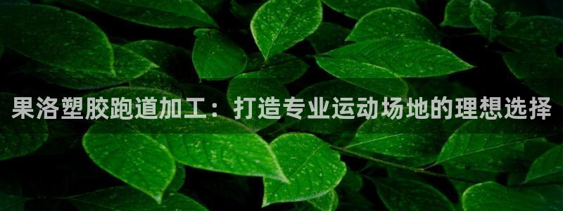 红足1一世：果洛塑胶跑道加工：打造专业运动场地的理想选择