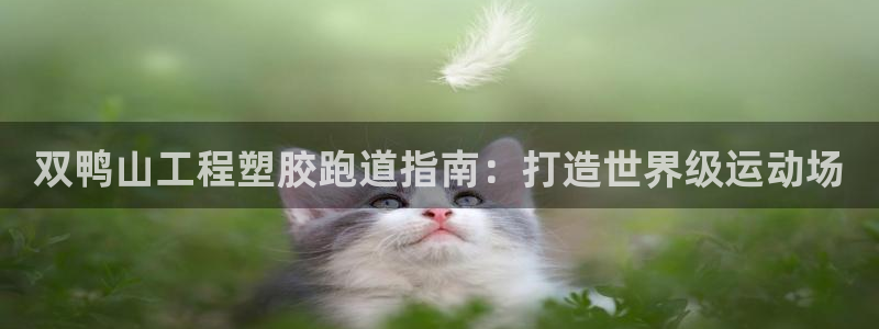 红足一1世：双鸭山工程塑胶跑道指南：打造世界级运动场
