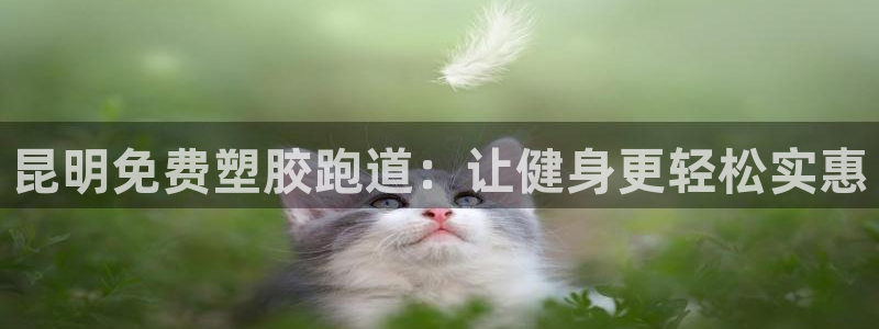 红足1一世：昆明免费塑胶跑道：让健身更轻松实惠