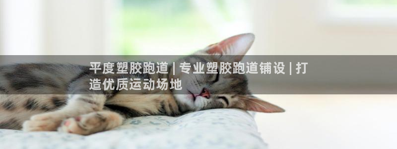 777814红·足一世比分篮球：平度塑胶跑道 | 专业塑胶跑道铺设 | 打
造优质运动场地