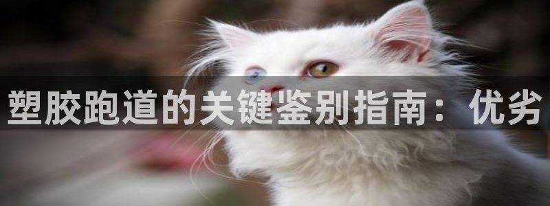 777814红·足一世比分篮球：塑胶跑道的关键鉴别指南：优劣