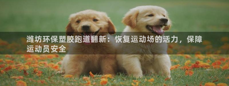 红足体育网：潍坊环保塑胶跑道翻新：恢复运动场的活力，保障
运动员安全