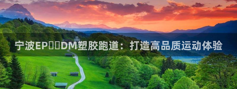 红足一1世66814新宝：宁波EP​​DM塑胶跑道：打造高品质运动体验