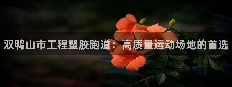 4633333开奖结果4176一点红：双鸭山市工程塑胶跑道：高质量运动场地的首选