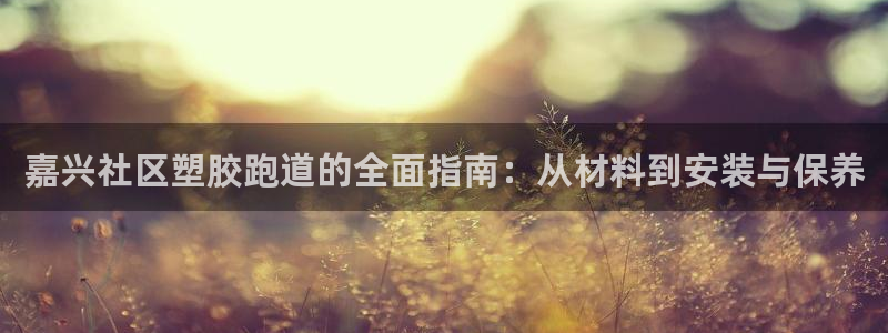 百度红足一1视频在线观看：嘉兴社区塑胶跑道的全面指南：从材料到安装与保养