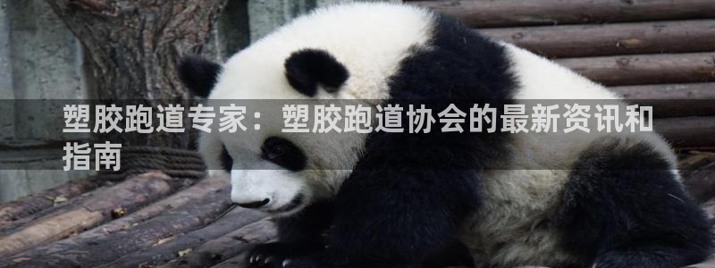 百度红足一1视频在线观看：塑胶跑道专家：塑胶跑道协会的最新资讯和
指南