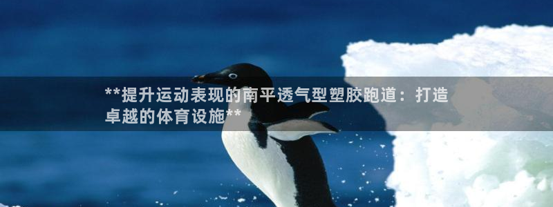红足一1世666814足球：**提升运动表现的南平透气型塑胶跑道：打造
卓越的体育设施**
