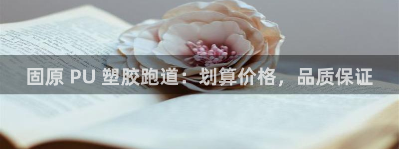 红足1世1站2站管理网：固原 PU 塑胶跑道：划算价格，品质保证