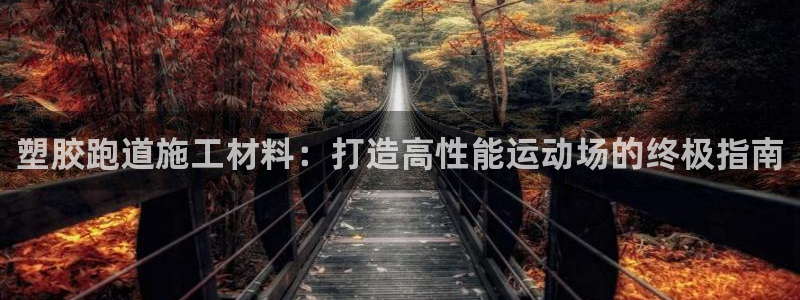 666814红·足一世比分：塑胶跑道施工材料：打造高性能运动场的终极指南