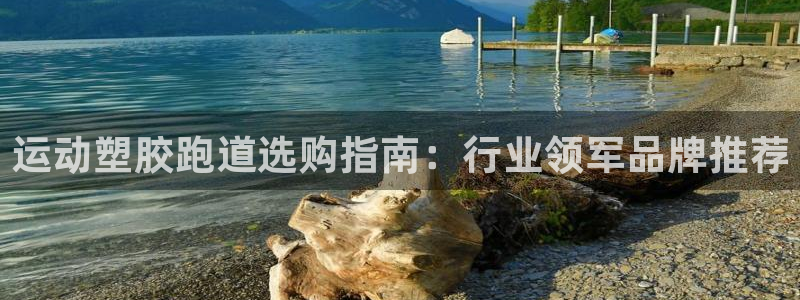 红足1世1站：运动塑胶跑道选购指南：行业领军品牌推荐