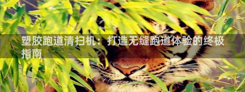 红足i世足球手机网：塑胶跑道清扫机：打造无缝跑道体验的终极
指南