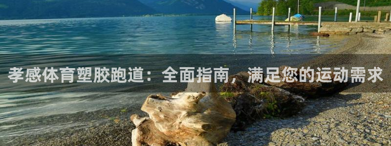 777814红·足一世比分：孝感体育塑胶跑道：全面指南，满足您的运动需求