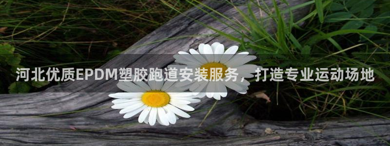 红足一1世比分球探：河北优质EPDM塑胶跑道安装服务，打造专业运动场地