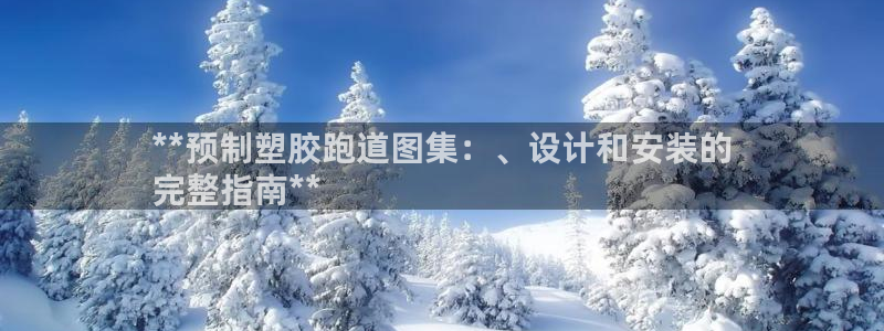 红足一丰：**预制塑胶跑道图集：、设计和安装的
完整指南**