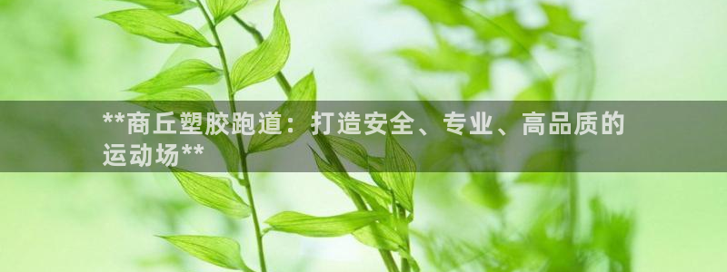 红足1世手足球比分：**商丘塑胶跑道：打造安全、专业、高品质的
运动场**