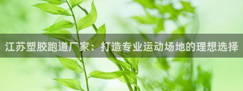 红足网足球直播