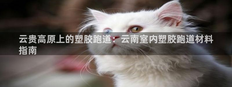 红足一1世官网：云贵高原上的塑胶跑道：云南室内塑胶跑道材料
指南