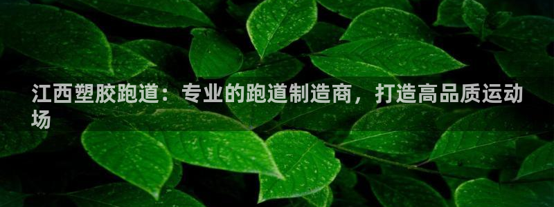 66814红足一66814世：江西塑胶跑道：专业的跑道制造商，打造高品质运动
场